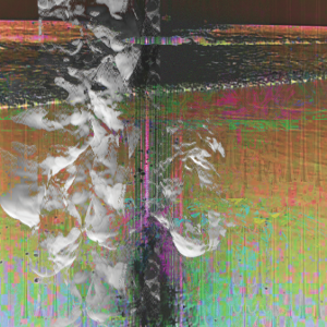 Night of the Long Knives album cover