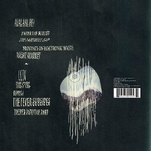 Visualizations album back cover